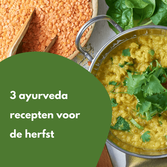 3 Ayurveda recepten voor het herfst seizoen - Salland Yoga, Meditatie en Coaching in Nieuwleusen