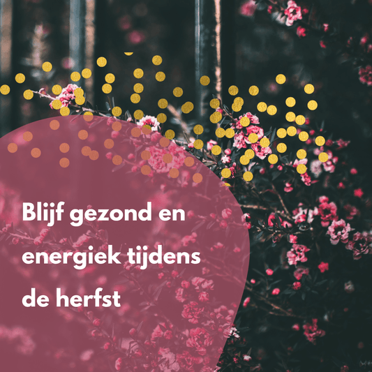 Tips Ayurveda en yoga voor gezonde weerstand in de herfst - Salland Yoga, Meditatie en Coaching in Nieuwleusen