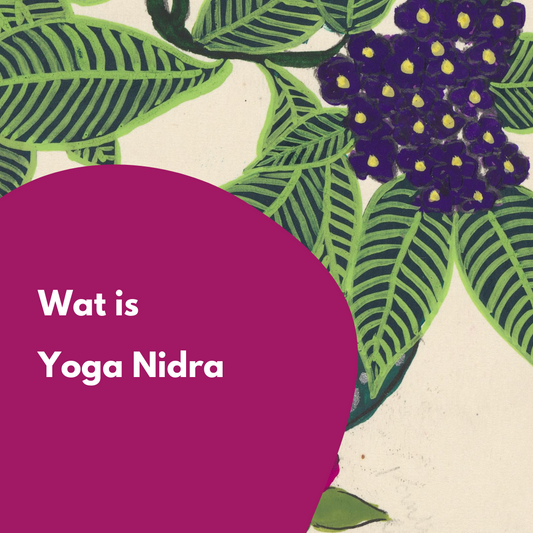 Yoga Nidra ontspanningsmeditatie - Salland Yoga, Meditatie en Coaching in Nieuwleusen