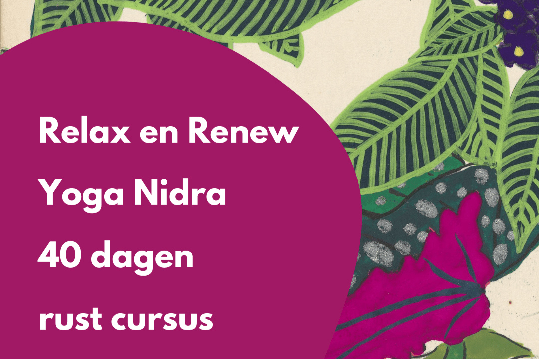 Relax & Renew 40 dagen ONLINE rust cursus Yoga Nidra - Salland Yoga, Meditatie en Coaching in Nieuwleusen