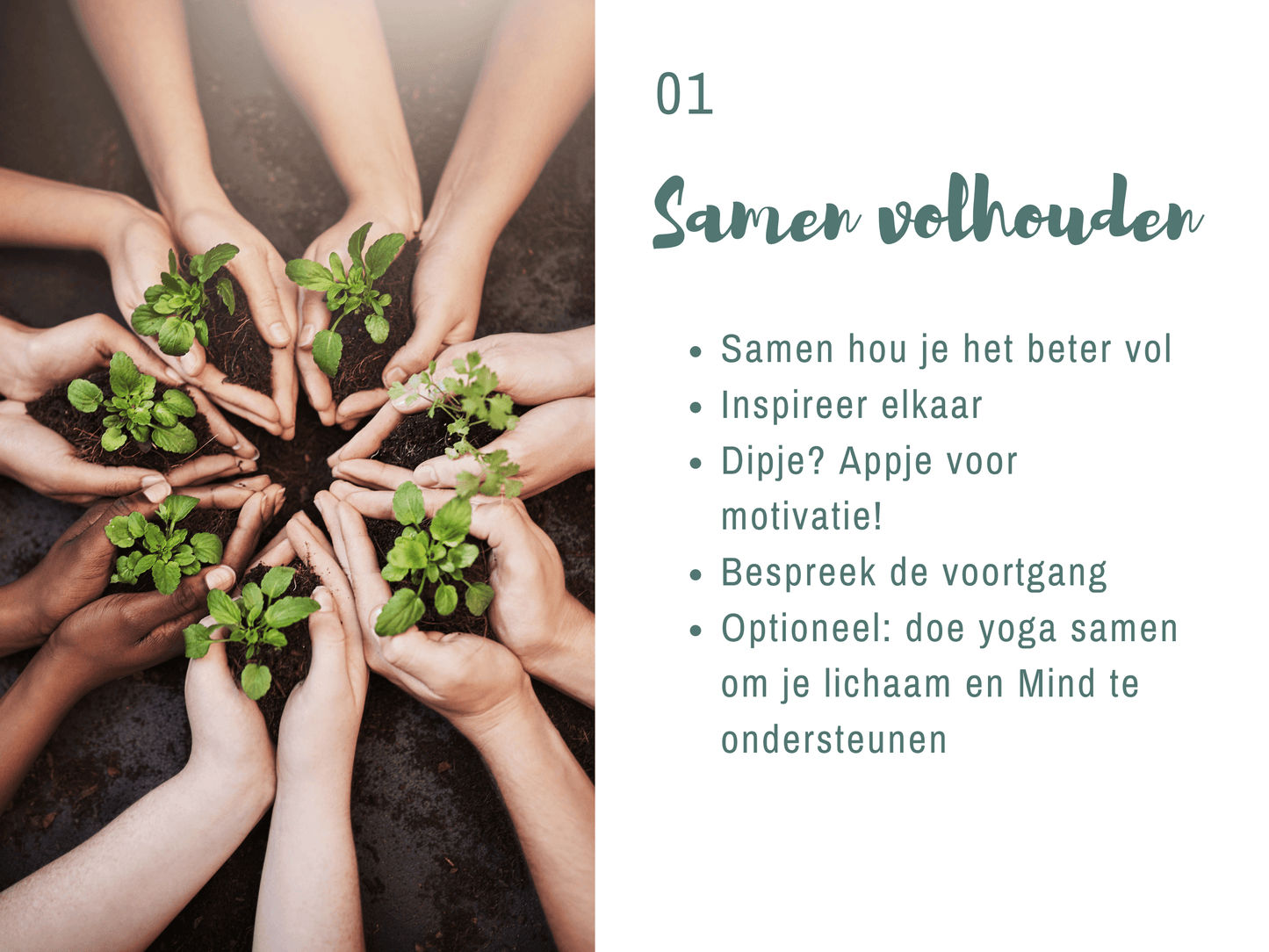 Semaine verte : commencez votre cure de désintoxication et augmentez votre énergie (printemps 2025)
