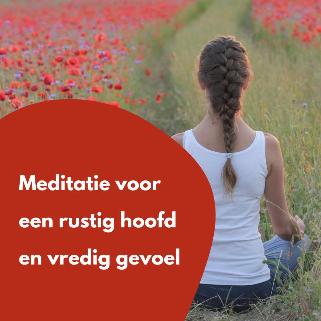 Meditatie voor een heldere geest en een rustig hoofd - Salland Yoga, Meditatie en Coaching in Nieuwleusen