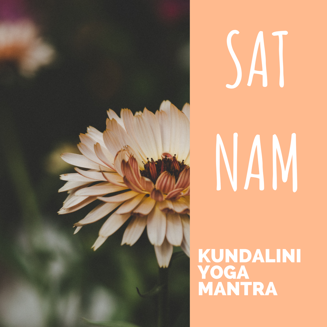 Mantra's - Kundalini yoga mantra's deel 1 - Salland Yoga, Meditatie en Coaching in Nieuwleusen