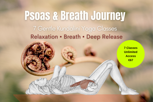 Détente du psoas – approfondissez votre expérience