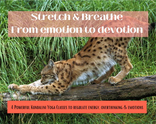 STRETCH & BREATHE  4 kundalini yoga class from emotion to devotion