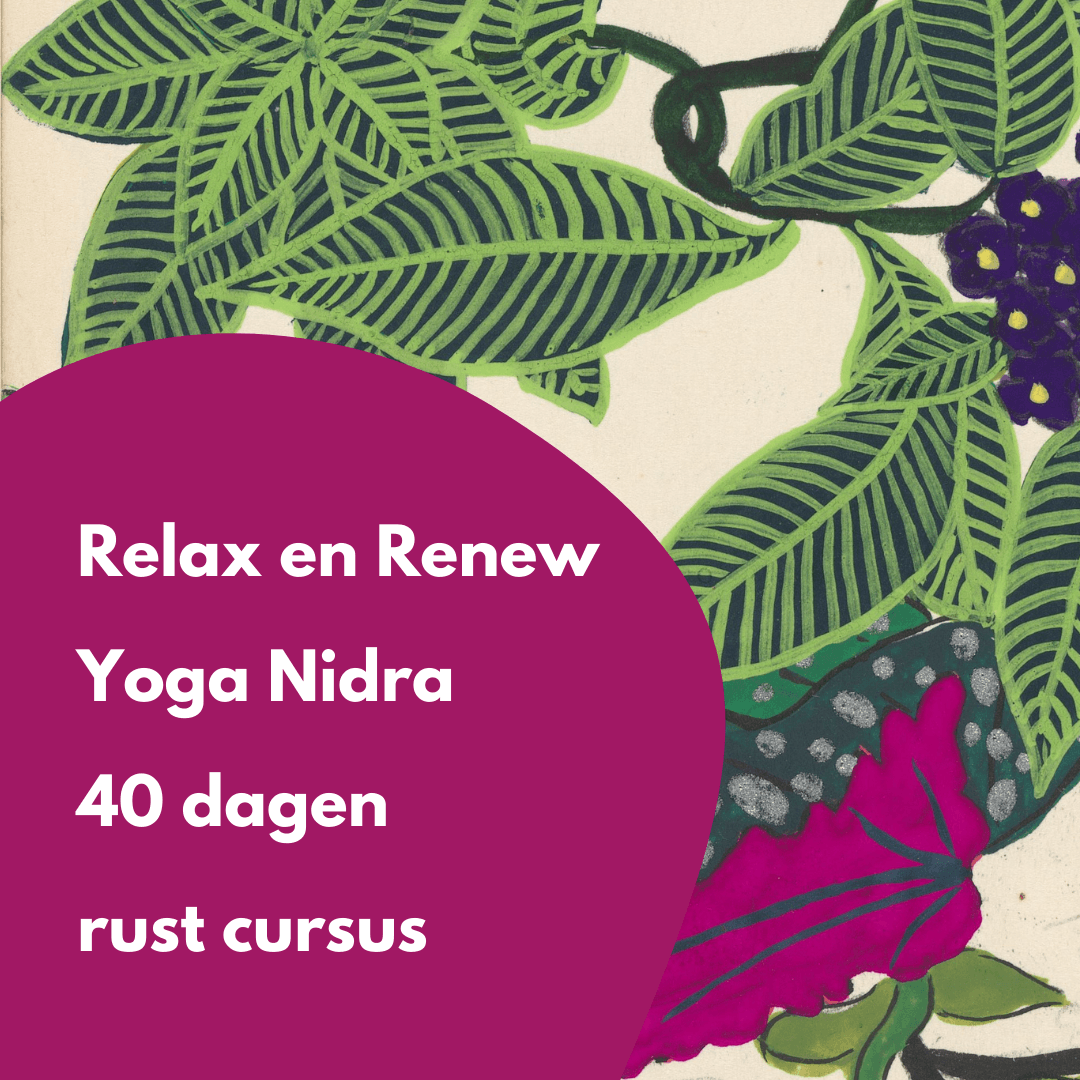 Relax & Renew 40 dagen ONLINE rust cursus Yoga Nidra - Salland Yoga, Meditatie en Coaching in Nieuwleusen