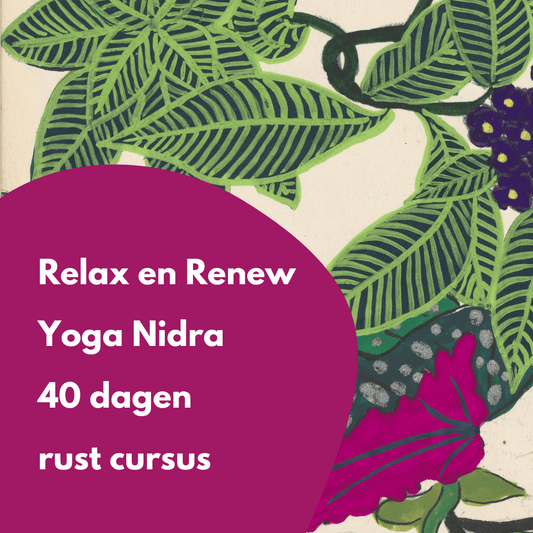 Relax & Renew 40 dagen ONLINE rust cursus Yoga Nidra - Salland Yoga, Meditatie en Coaching in Nieuwleusen