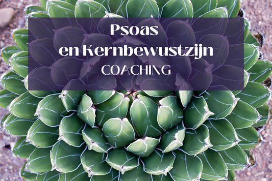 Psoas kernbewustzijn Coaching