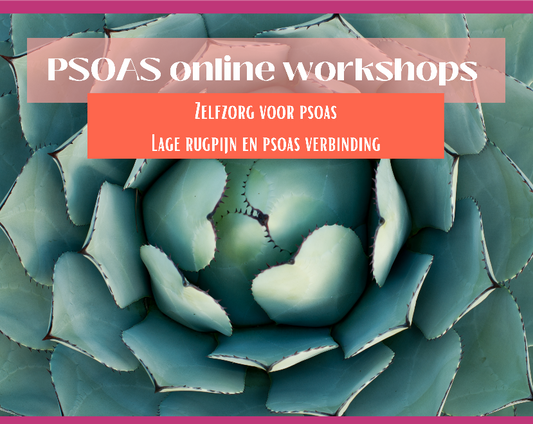 Core bewustzijn online workshop psoas zelfzorg en lage rugpijn
